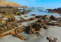 hermanus-cliffs-and-shoreline (2)